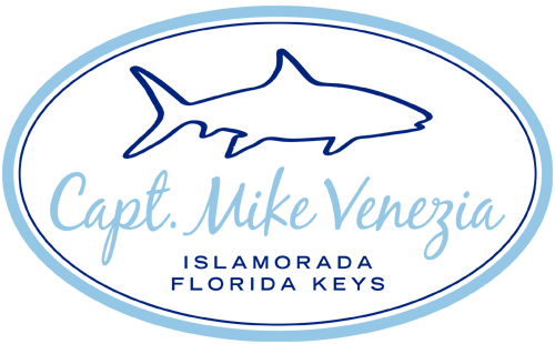 Captain Mike Venezia: Fishing Charters, Bone Fishing Charters, Inshore Fishing Charters, Light Fishing Charters, Redfish Fishing Charters, Shark Fishing Charters, Snook Fishing Charters, Tarpon Fishing Charters, Trout Fishing Charters