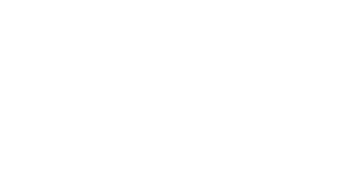 Captain Mike Venezia: Fishing Charters, Bone Fishing Charters, Inshore Fishing Charters, Light Fishing Charters, Redfish Fishing Charters, Shark Fishing Charters, Snook Fishing Charters, Tarpon Fishing Charters, Trout Fishing Charters