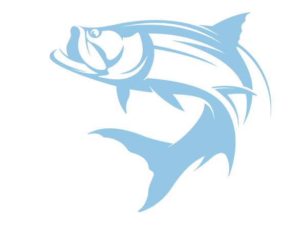 Tarpon Fishing Charters Florida Keys, FL